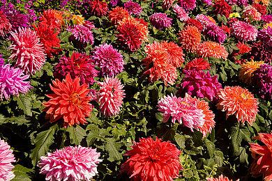 科幻冒险视觉小说《柔蒂亚克：永眠之城》Steam页面开放 年内发售